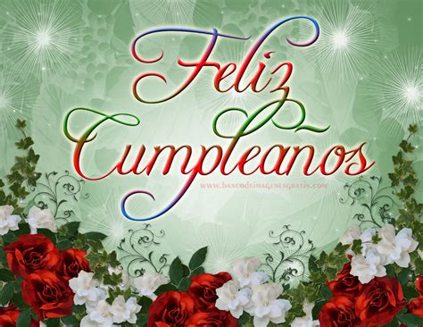 Banco De Imágenes Gratis Feliz Cumpleaños Con Rosas Y Orquídeas