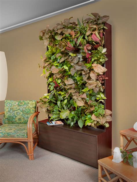 Two plants in flowerpots on green background. Living Green Walls | Indoor Plant Wall Installation ...