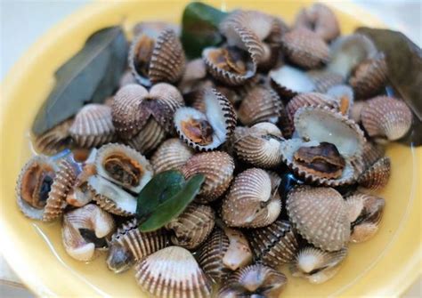 Cara memasak kerang hijau bumbu kuning. Cara Membuat Kerang Ijo Bumbu Kuning - 18 Bahan Memasak ...