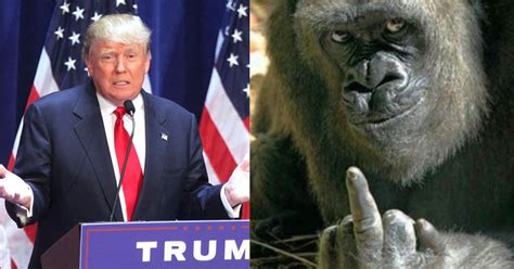 Donald Trump Answers Whether He Would Have Killed The Cincinnati Zoo