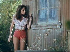 Catherine Bach Pictures And Photos