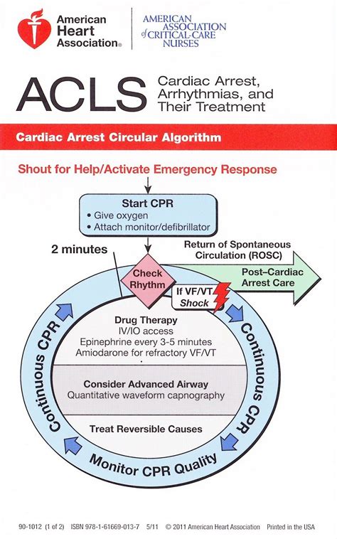 Assess appropriateness for clinical condition heart rate typically <50/min if bradyarrhythmia. Cardiac Arrest Circular Algorithm | Nurse, Emergency ...