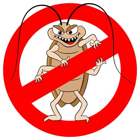 With rat sightings happening more frequently, it can become a heavy weight of worry on our shoulders until something is done. Pest Control Companies In McKinney, TX: Watch For Pests ...