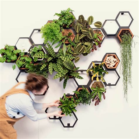 Beautiful Living Wall Indoor Decoration Ideas To Be A Fresh Home