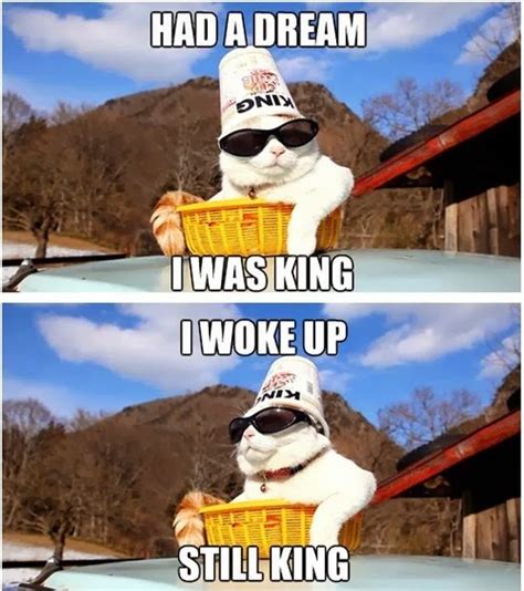 Had A Dream I Was King I Woke Up Still King Best Of Funny Memes