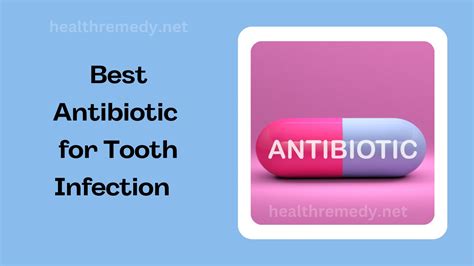 Best Antibiotic For Tooth Infection Expert Choice