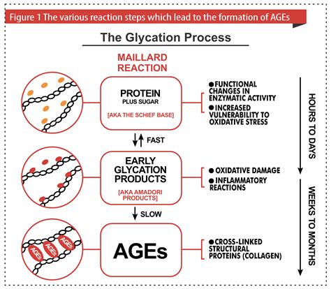 Advanced Glycation End Products Ijms Free Full Text Dicarbonyls And Advanced Glycation