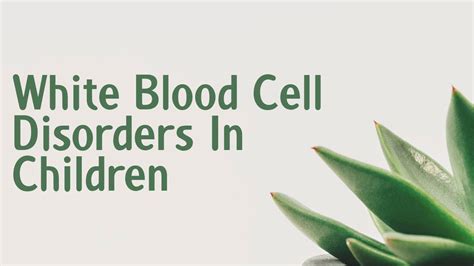 White Blood Cell Disorders In Children Symptoms Causes Treatment