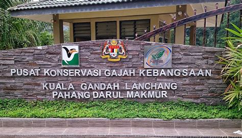 Ia berikutan beberapa infrastrukturnya mengalami kerosakan. COVID-19: PUSAT KONSERVASI GAJAH KUALA GANDAH DITUTUP ...