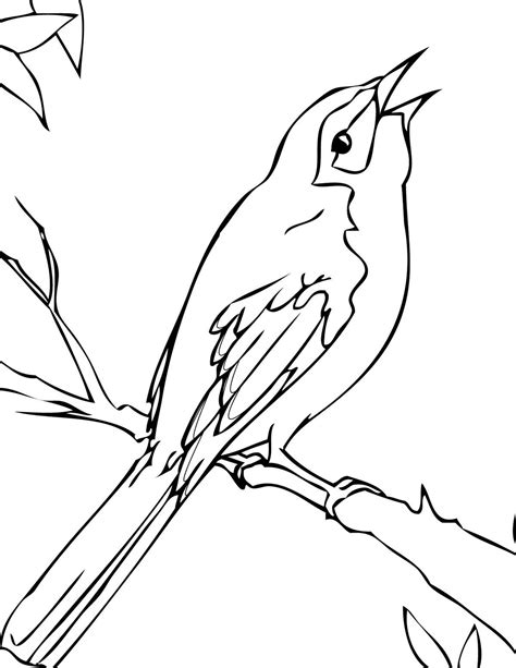 Jun 06, 1994 · state, 133 so. Florida mockingbird coloring page | Bird coloring pages, Coloring pages to print, Coloring pages