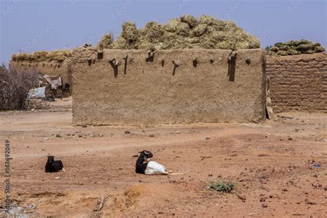 Village Grain Stores And Houses In Niger West Africa Stock Photo