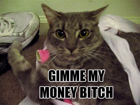 Gimme My Money Bitch Xuilla Flickr