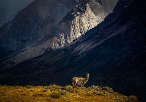 Eric Schuette Photography Patagonia Img6361