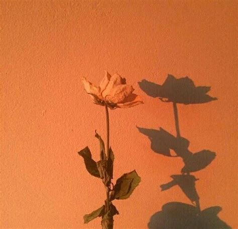 45 best images about Orange Aesthetics ♡ on Pinterest | Frank ocean