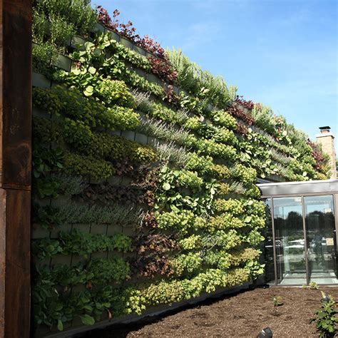 Vertical Garden With Live Plants Livewall Outdoor