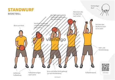 Standwurf Basketball Bewegungsbeschreibung Technikanalyse