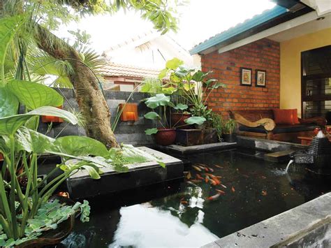 Tampaknya, untuk sementara ini yang dapat kita berikan catatan berkaitan dengan membuat kolam ikan sederhana minimalis di depan rumah. Inspirasi aquascape | Desain Kolam Ikan Hias Dalam Rumah ...