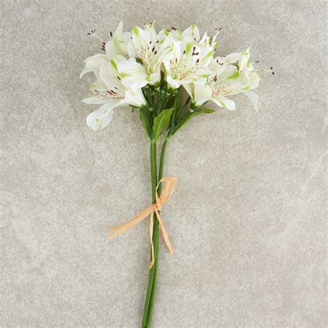 Maybe you would like to learn more about one of these? White Artificial Alstroemeria Bouquet - Bushes + Bouquets ...