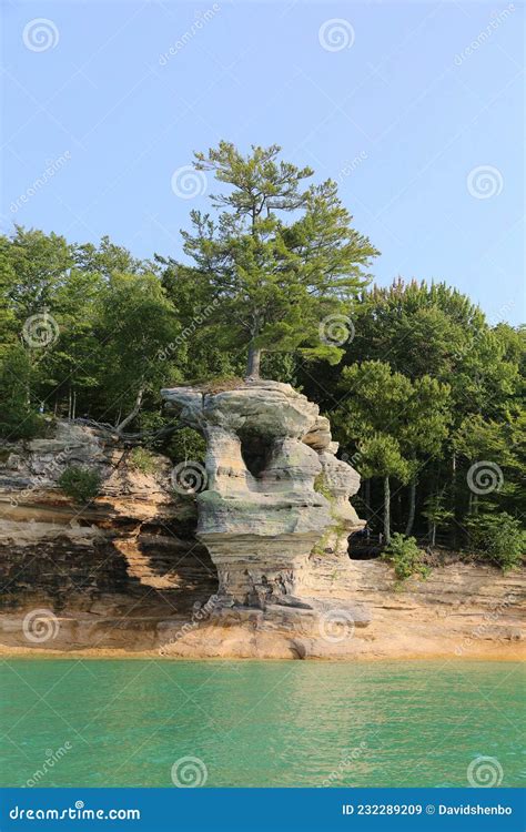 Lonely Tree On Chapel Rock At Pictured Rocks National Lakeshore Of Lake