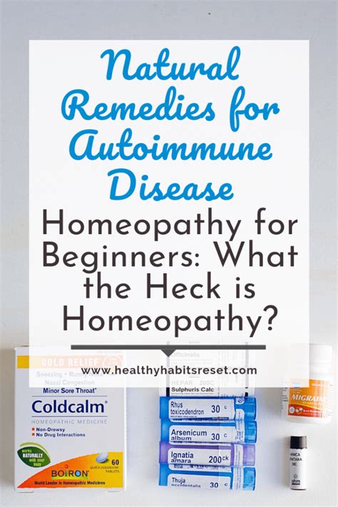 Homeopathy For Beginners What Is Homeopathy Homeopathy Autoimmune