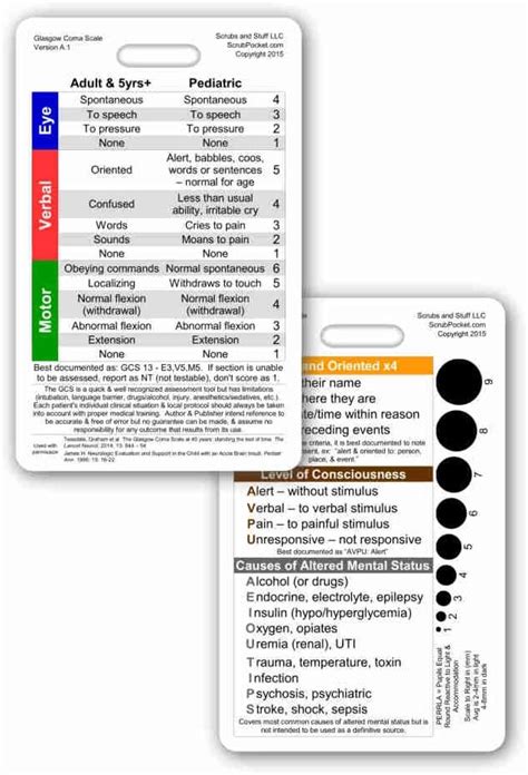 Buy Glasgow Coma Scale Gcs Vertical Reference Badge Id Card 1 Card