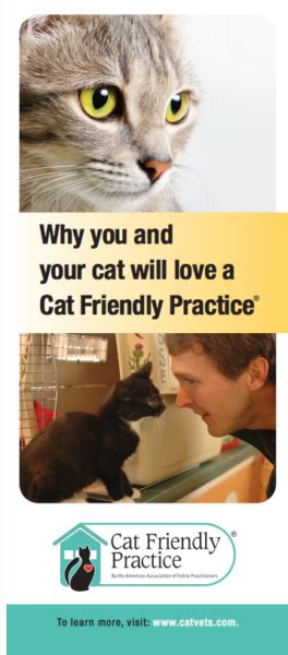 Cat Friendly Practice Cat Friendly Homes