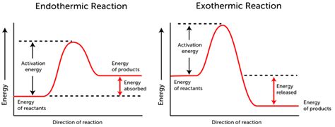 The activation energy calculator will evaluate and display the total activation energy. 3B1 Energy