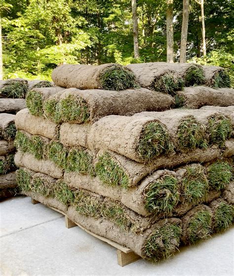 How To Lay Sod For A New Lawn Plank And Pillow