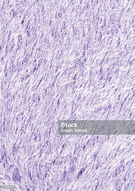 Purple Carpet Texture Stock Photo Download Image Now Shag Rug