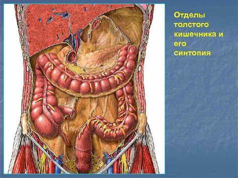 Полипэктомия толстого кишечника диета