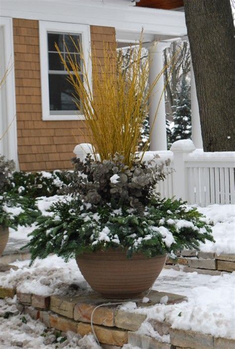Winter Containers With Flame Willow And Bleached Leaf Stems Modern