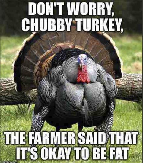 These Turkey Memes Will Make You Gobble Gobble What Wap Stands For Memes