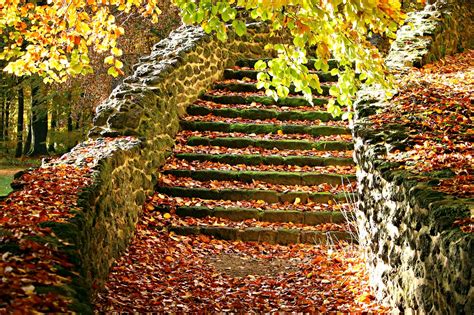 Download Free Photo Of Autumnstairsfall Foliagestair Stepcastle