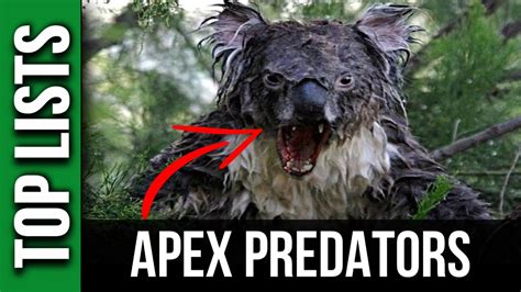 10 Deadliest Apex Predators Youtube