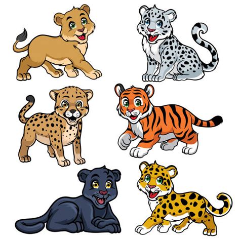 Check spelling or type a new query. Royalty Free Snow Leopard Clip Art, Vector Images & Illustrations - iStock