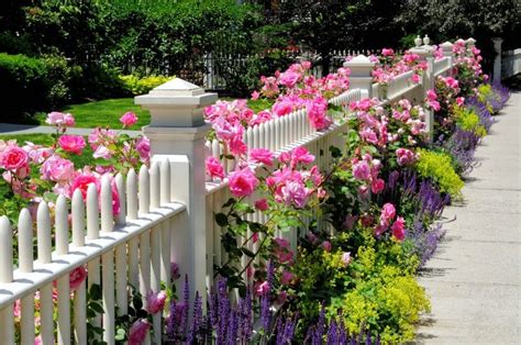 7 Pretty White Picket Fence Ideas Art Of The Home