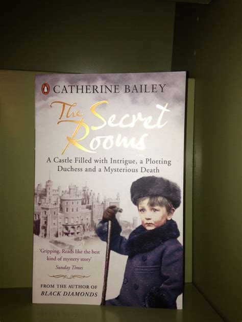 The Secret Rooms Catherine Bailey Secret Rooms Mystery Stories Author