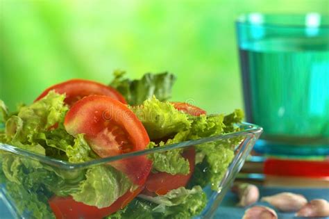 Tomato Lettuce Salad Stock Image Image Of Green Vegetarian 24630169