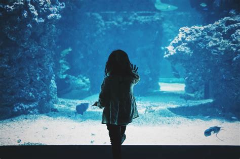 14 Fantastic Exhibits To See At The South Carolina Aquarium