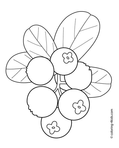 Teach 22 fruits with these colorful fruits flashcards! Cowberry fruits and berries coloring pages for kids ...