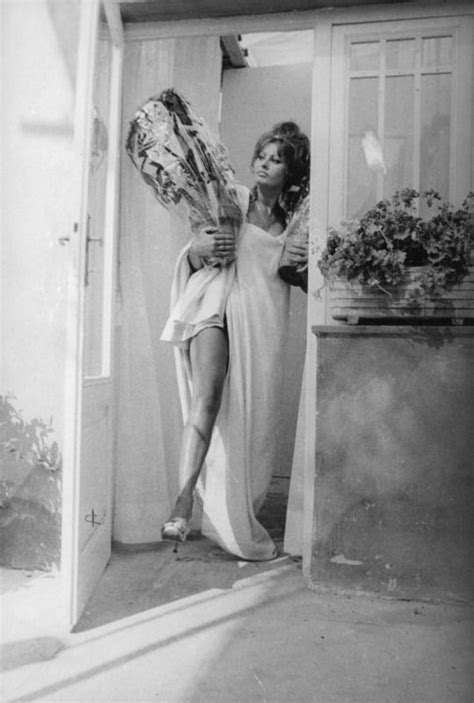 Sophia Loren Sophia Loren Belle Attrici Marcello Mastroianni