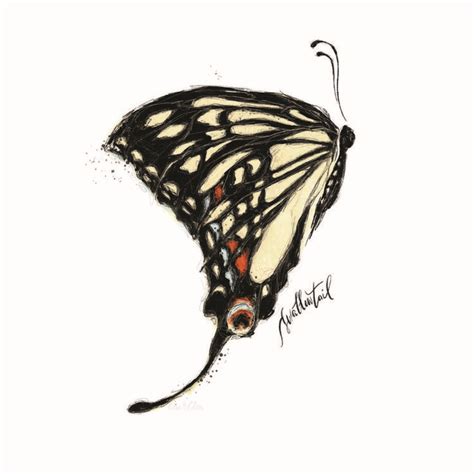 Swallowtail Butterfly — Lisa Clow Swallowtail Sumi Ink