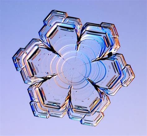 27 Snow Crystals Under A Microscope Gallery Ebaums World