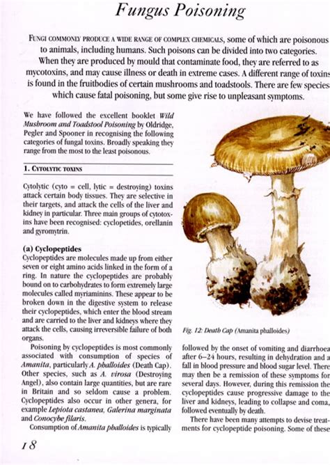 Collins How To Identify Edible Mushrooms 0007259611 9780007259618