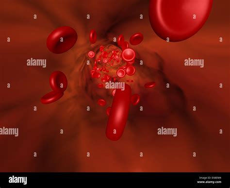 Red Blood Cell Hi Res Stock Photography And Images Alamy