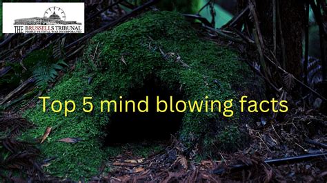 Best Top 5 Mind Blowing Facts Learnspottech