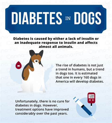 Diabetes Mellitus Part Ii Dogs