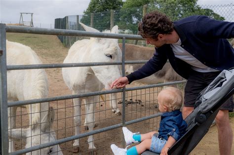 See more ideas about sheep, goats, llama alpaca. Family Hotel Review: The Pier, Harwich in Essex | Luxury ...