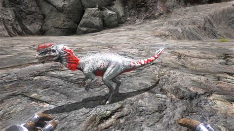Dilophosaur Official Ark Survival Evolved Wiki
