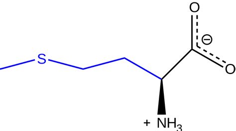 Methionine Wikipedia